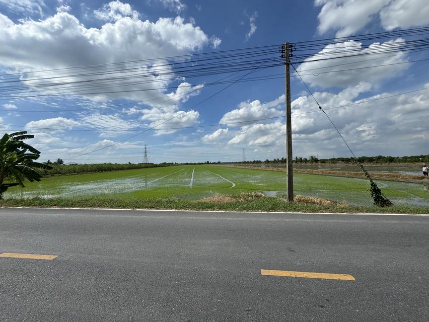 ขายที่ดิน 31 ไร่ ติดถนน อ.ลาดหลุมแก้ว จ.ปทุมธานี 3