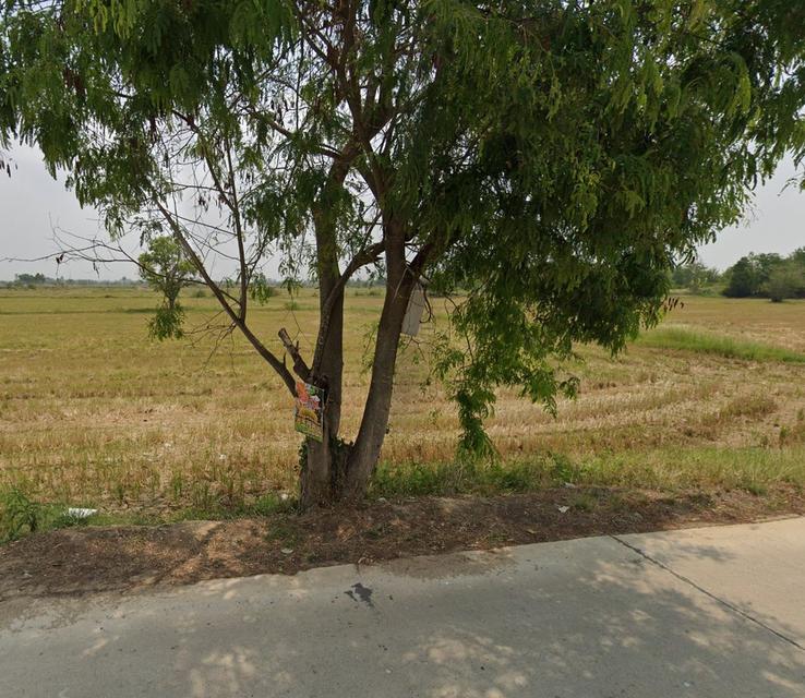  ที่ดินสวย ทำเลทอง ในพนัสนิคม ชลบุรี 4