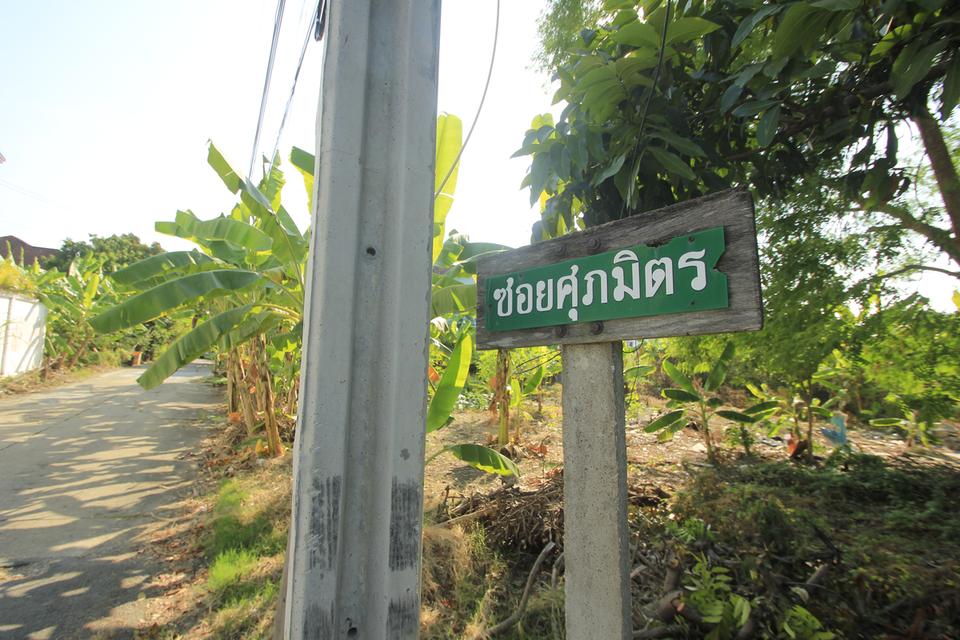 ที่ดินพุทธมณฑลสาย2ซอย21 ซอยศุภมิตร 114วา ที่ดินสร้างบ้าน ติดทางสาธารณะประโยชน์ ใกล้ถนนพรานนกสาย4 ตัดใหม่ เดินทางสะดวก 30,000บาท/วา 9