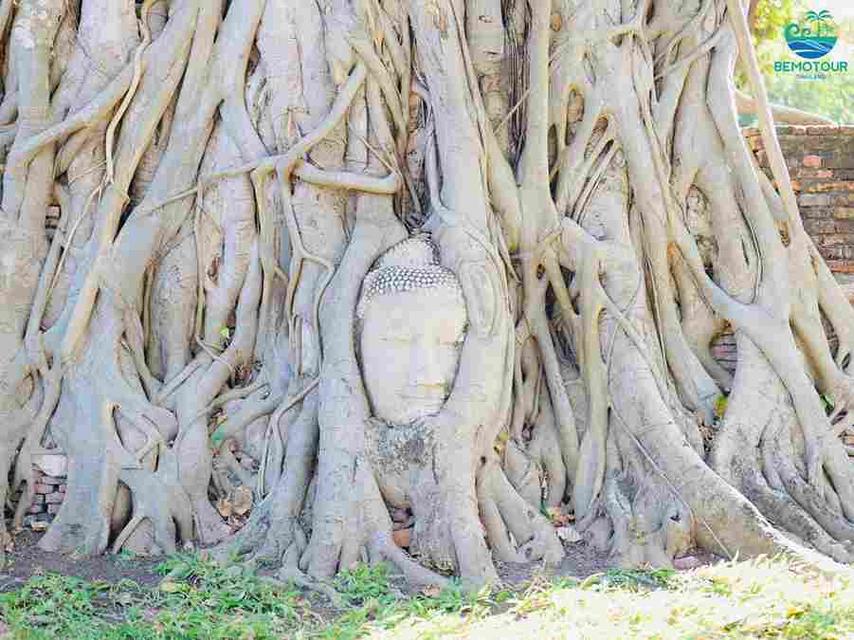 โปรแกรม AY224 ทัวร์อยุธยา One day trip  by Bemotour  นักท่องเที่ยวไทย : ท่านละ 1,500 บาท