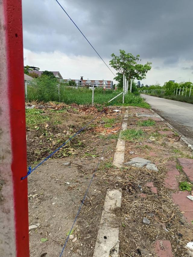 ขายที่ดินสวนหลวงร.9 ประเวศ 224 ตร.วา 9