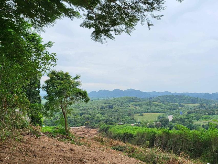 ขายที่บนเนินเขา เขาใหญ่ คลองม่วง ปากช่อง 10 ไร่ ที่ดินบนเนินเขา วิวเขาสวยมาก ที่สูง ติดถนนลาดยาง ใกล้เส้น 3060 หนองสาหร่าย เดินทางสะดวก 087-9074045 3