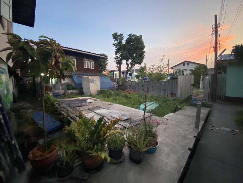 ที่ดิน 2งาน 55ไร่ บางซ่อนใกล้สิ่งอำนวยความสะดวก 6