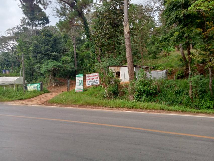 ขายที่ดิน วิวภูเขา 360 องศา เอกสารพร้อมโอนเหมาะสำหรับทำโรงแรม รีสอร์ท บ้านจัดสรร 5
