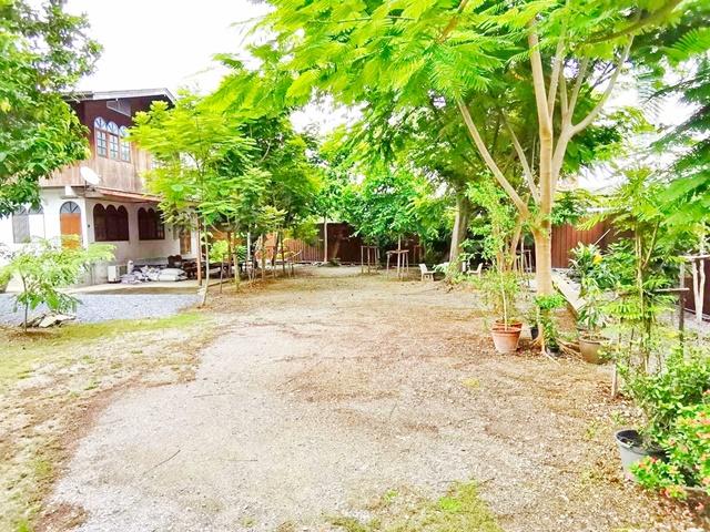 เพชรเกษม48-58 ให้เช่าบ้านไม้ไทย ติดคลองบางจาก MRTภาษีเจริญ 700ม. จอดรถ 15–20คัน เข้าซอย400ม 250 ตารางวา 1,000 ตร.ม. 8