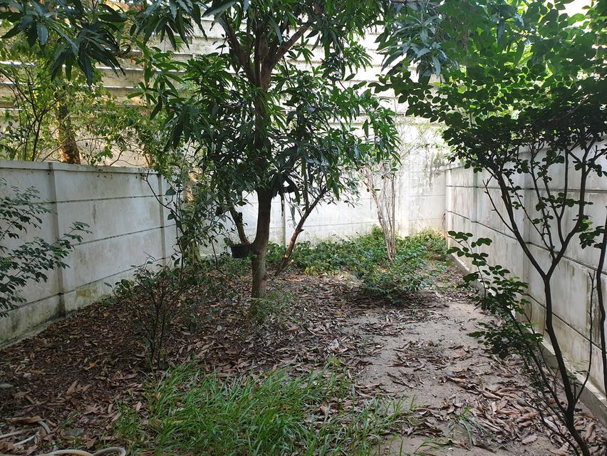 ทาวน์โฮม3ชั้นพร้อมอยู่ 29.1 ต.ร.ว. ทาวน์พลัสเกษตรนวมินทร์ 12