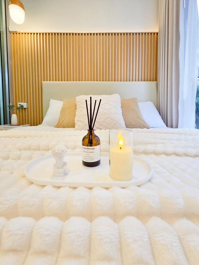 ขาย คอนโด Plum Condo ราม 60 อินเตอร์เชนจ์ 22.97 ตรม ห้องรีโนเวทใหม่ สวยพร้อมอยู่ 2