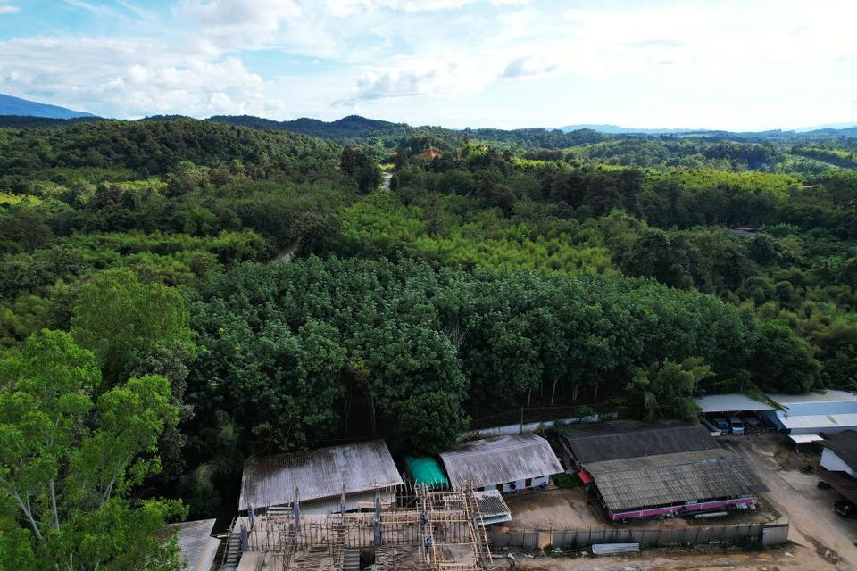 ขายที่ดินสวนยาง 2.40 ไร่ พร้อมโฉนด เหมาะแก่การลงทุน หลังวิทยาลัยการอาชีพปัว ต.ปัว จ.น่าน  14