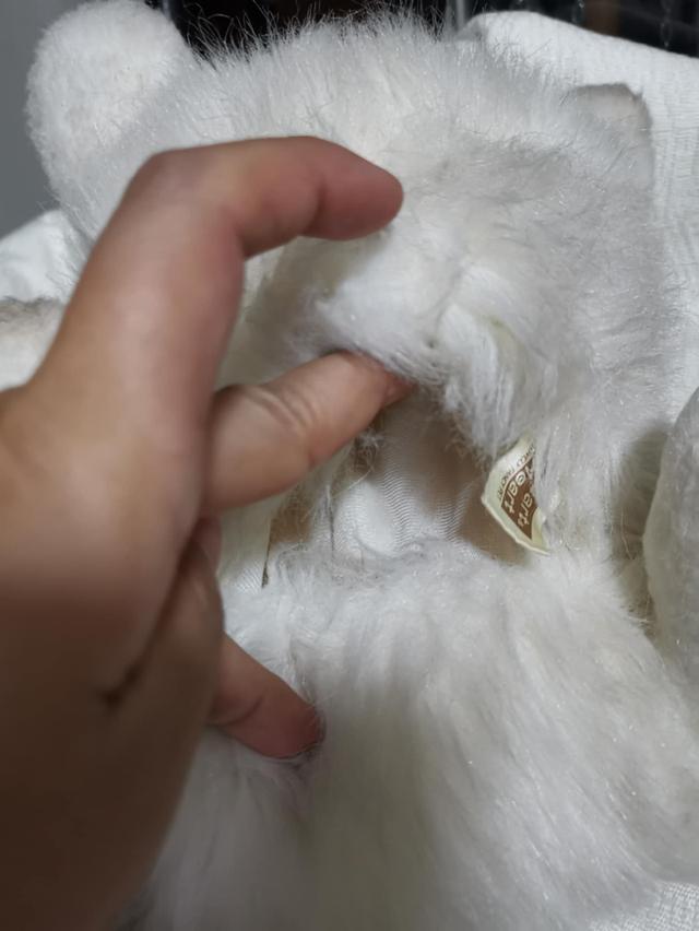 แมวสวมมือ Heart Heart