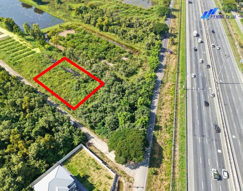 ขายถูก! ที่ดิน 1 ไร่ ใกล้เลียบมอเตอร์เวย์ คลองสี่ คลองหลวง ปทุมธานี 8