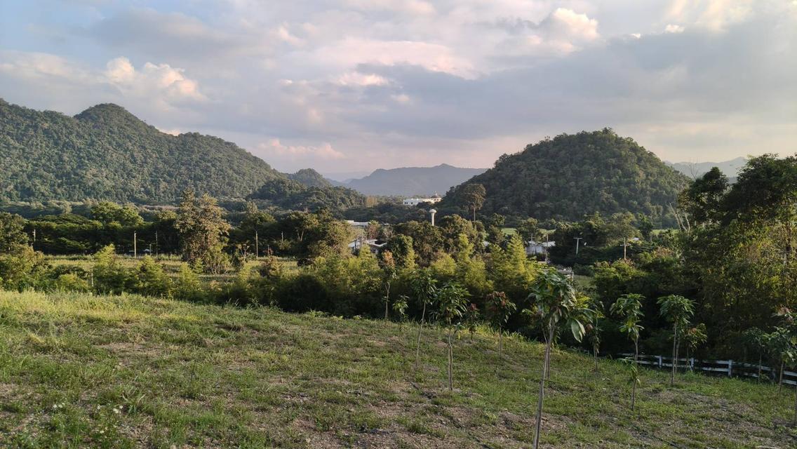 ขายบ้านเดี่ยวสุขุมวิท71 ปรีดีพนมยงค์26 121ตร.ว แปลงมุมสวย 4ห้องนอน 736ตร.ม ใกล้ BTSพระโขนง เอกมัย จอดรถได้หลายคัน เหมาะทั้งพักอาศัย Home office 4