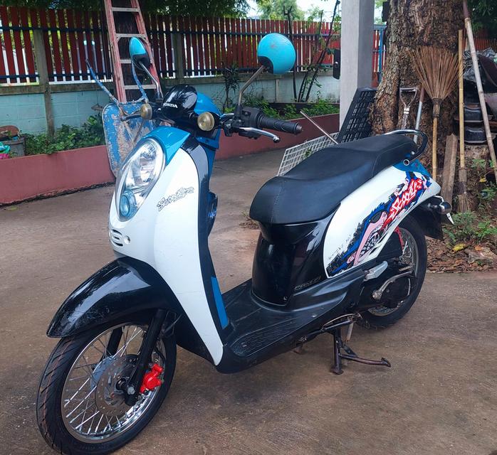 scoopy i ปี2010