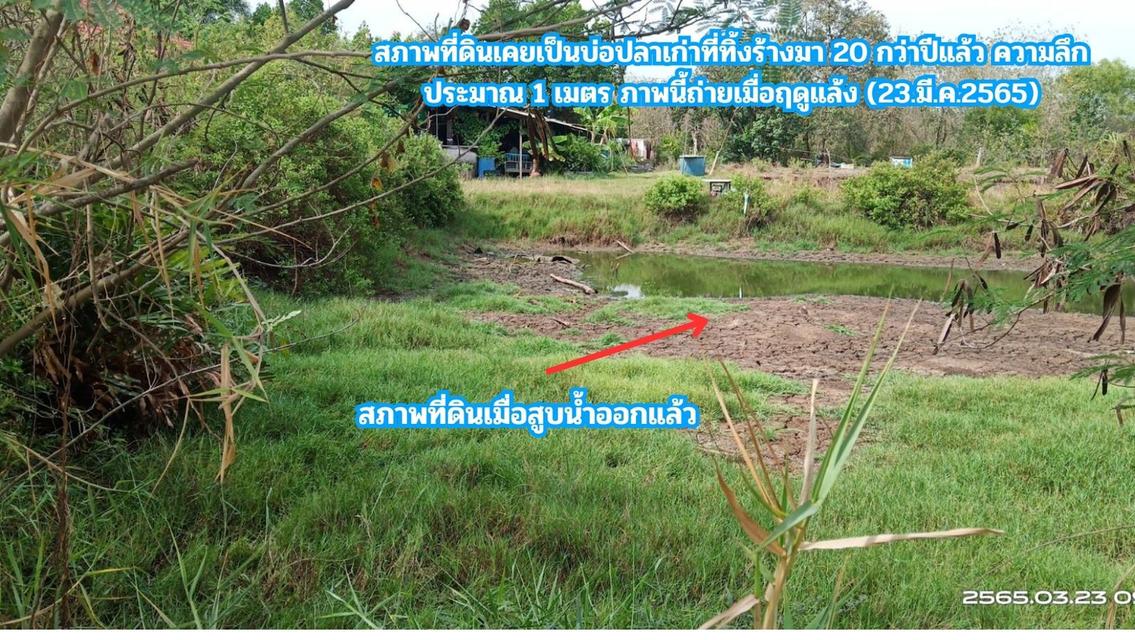 ขายที่ดิน ติดคลอง 2 ไร่ ใกล้ถนนสิริโสธร  หรือถนน 314 (บางปะกง-ฉะเชิงเทรา)  ต.สนามจันทร์ อ.บ้านโพธิ์ จ.ฉะเชิงเทรา 4