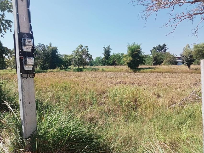 ขายที่ดินติด ในเมืองชัยภูมิ 4