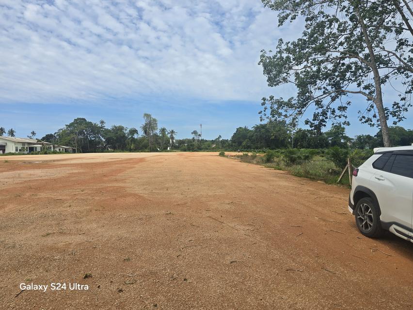 Prime land ideal for investment (ที่ดินสวยเหมาะแก่การลงทุน) 4