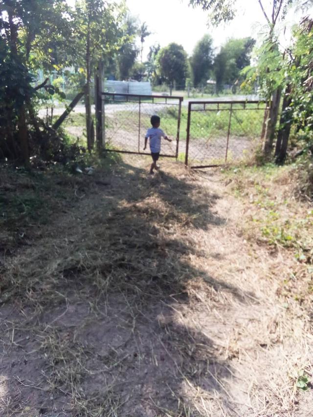 ที่ดินจำนวน 5 ไร่สระกระโจม ดอนเจดีย์ สุพรรณบุรี 13