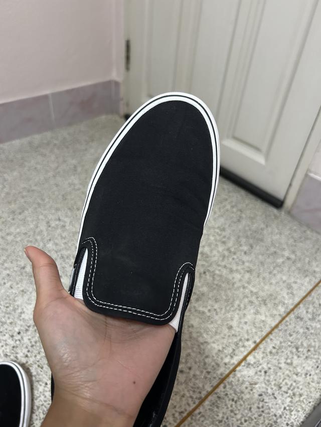 Vans 3
