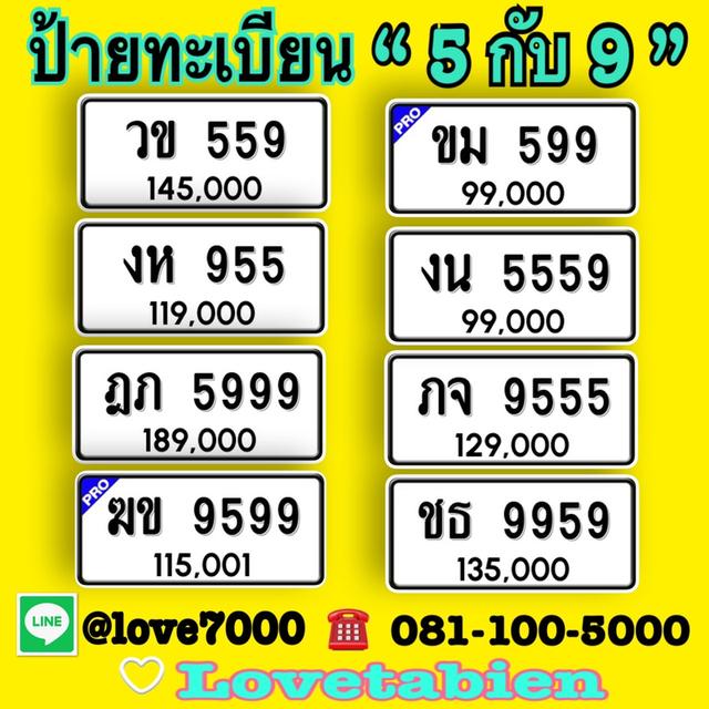 ป้ายทะเบียน “5 กับ 9“ ราคาพิเศษสุดๆ