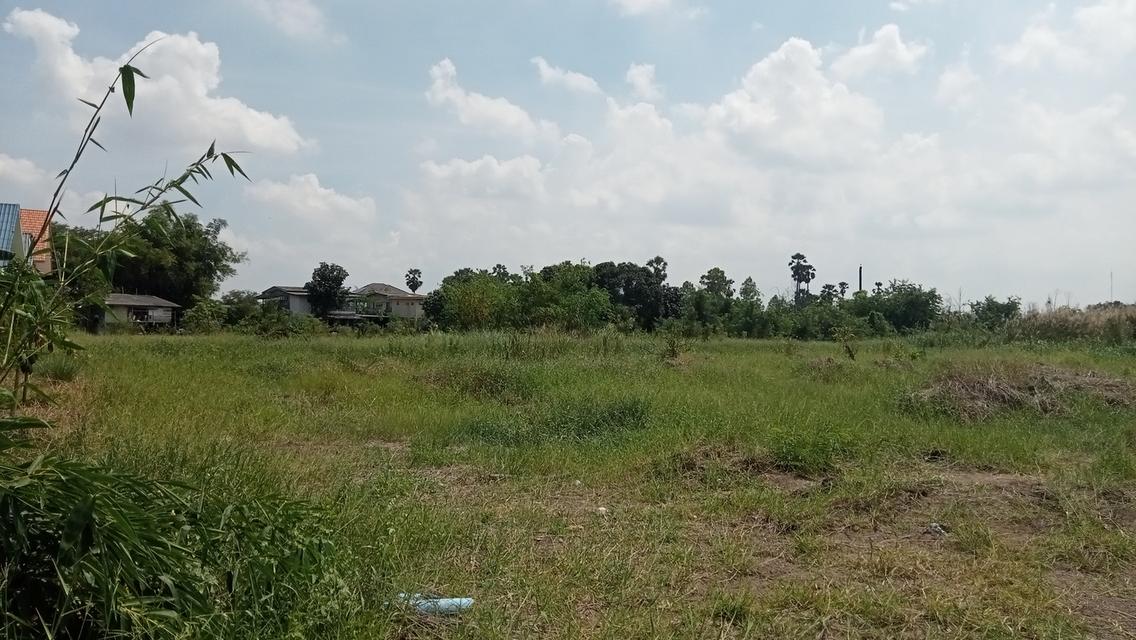 ขายที่ดิน สามโคก หลังที่ว่าการอำเภอสามโคก 8