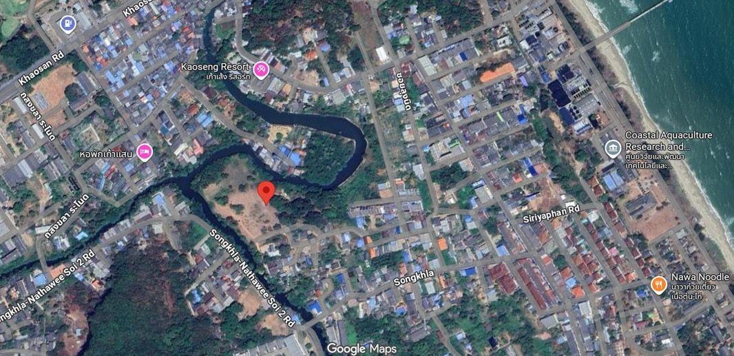 ที่ดิน 14 ไร่ เขารูปช้าง จังหวัดสงขลา 2