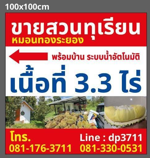 ขาย ที่ดินสวนทุเรียน จังหวัด ระยอง 1