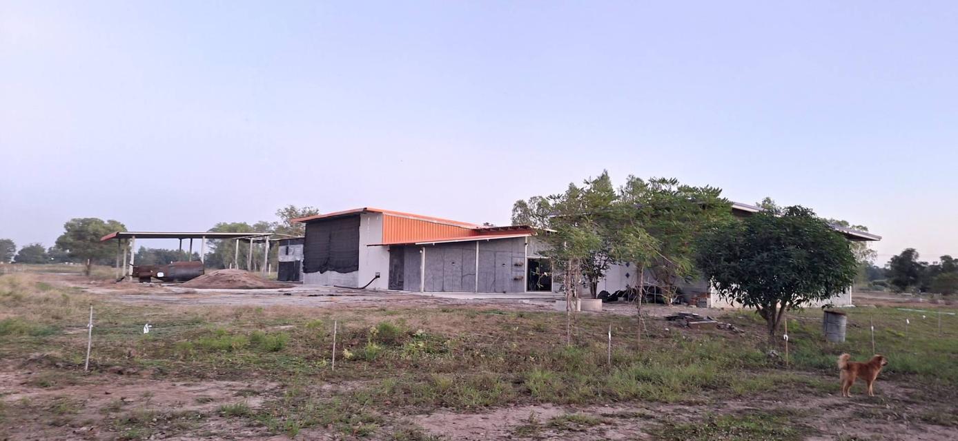 ที่ดินพร้อมสิ่งปลูกสร้าง 2