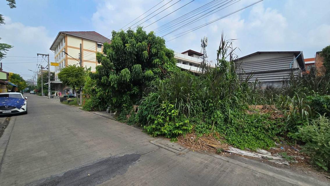 ขายด่วนที่ดิน 50 ตรว ติดถนนคอนกรีต  พุทธมณฑลสาย 4 กระทุ่มแบน สมุทรสาคร 3