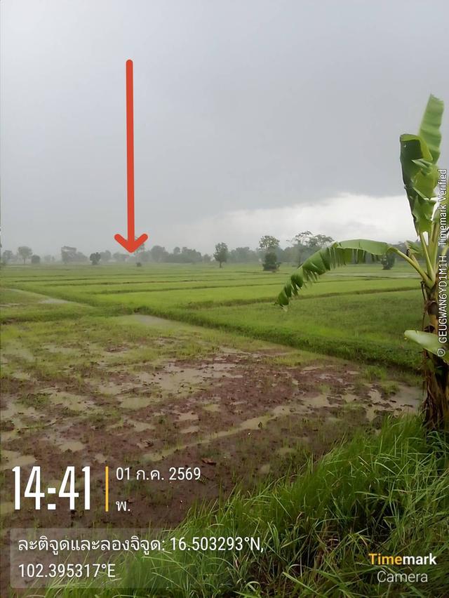 ต้องการขายที่ดิน4ไร่ 5