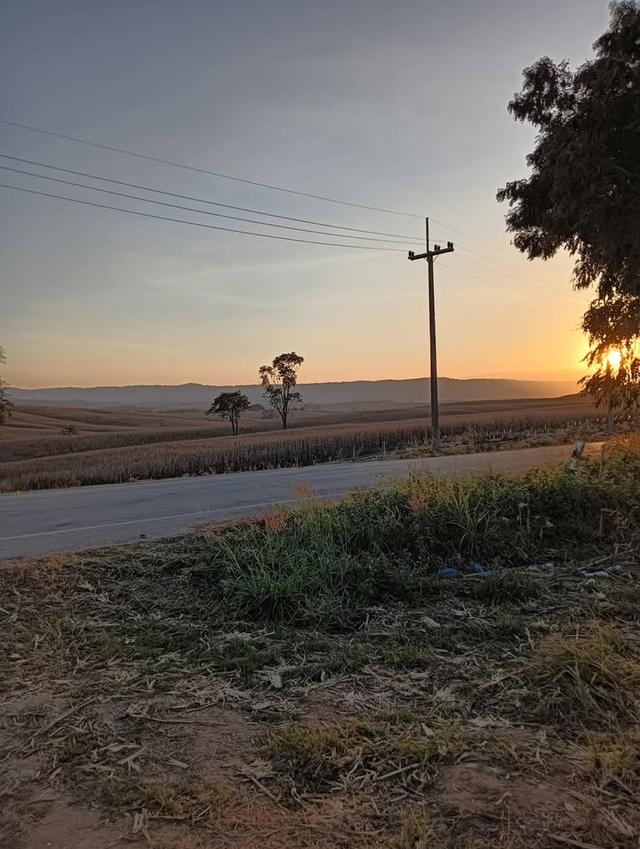 ที่ดินเปล่า ล้อมรั้วเรียบร้อย ถนน 3139 วังน้ำเขียว 15