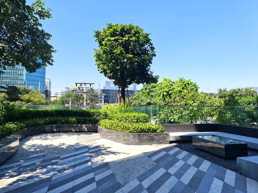 ไซมิส เอ๊กซ์คลูวีฟ ควีนส์ 15