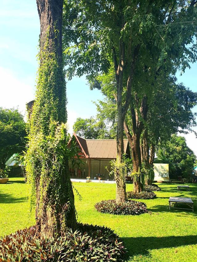 บ้านที่ดิน