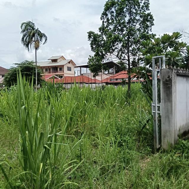 ขายที่ดินใกล้เมืองเชียงใหม่ 5