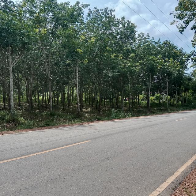 บ้านพร้อมที่ดิน 6