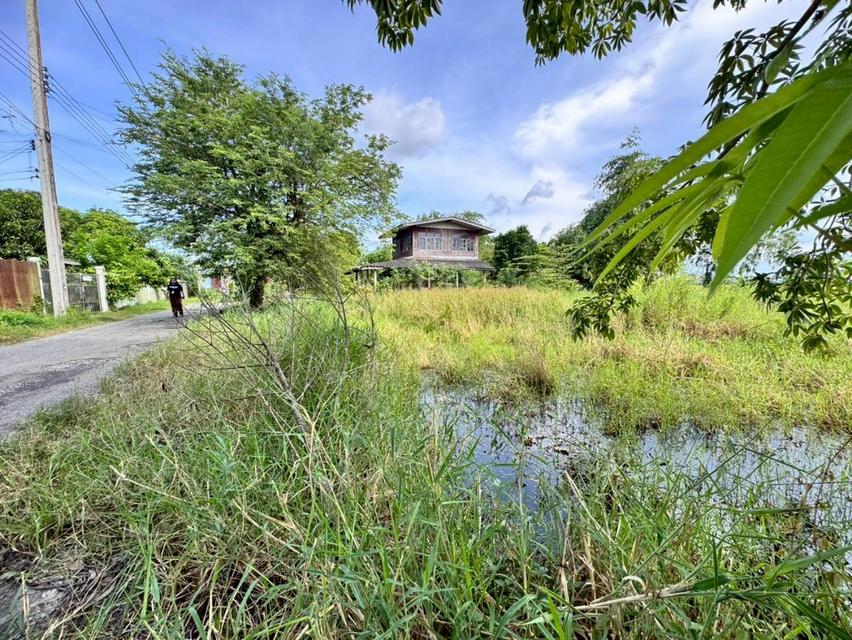 ขายที่ดิน 200 ตารางวา ถ.ประชาสำราญ เข้าซอยเพียง 350 เมตร (N.1862) 4