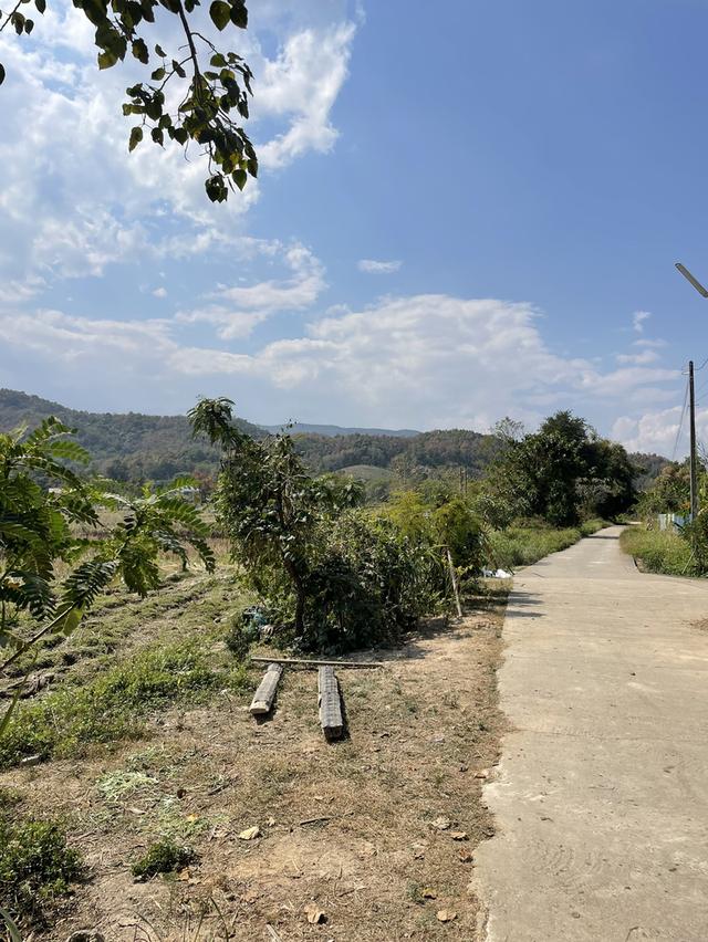 ที่ดินเชียงราย 5 ไร่ 11