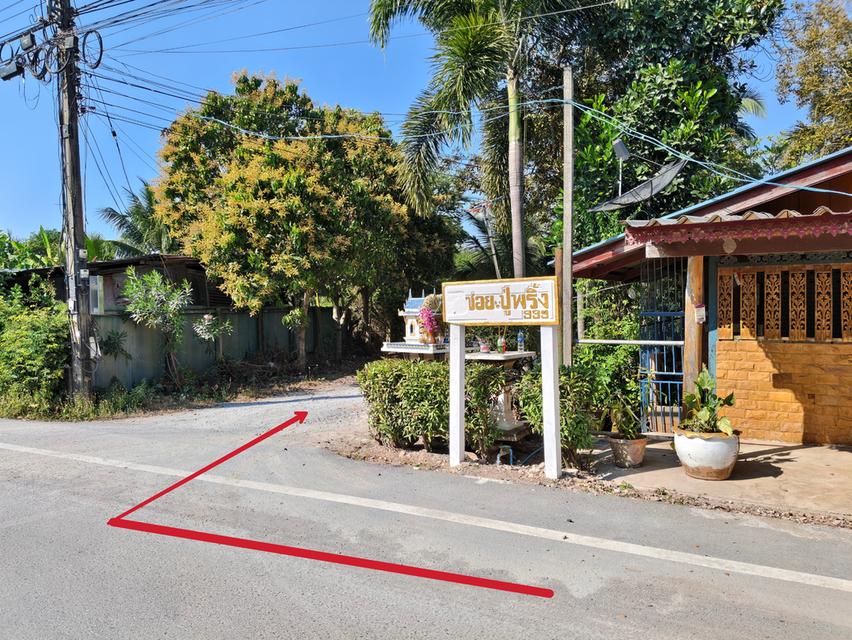 ขายที่ดิน บ้านและสวนมะพร้าว 4