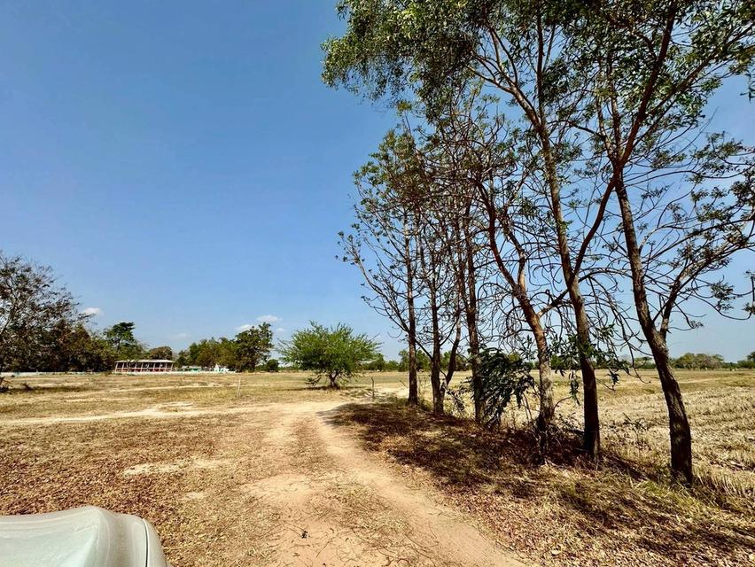 ขายที่ดิน ถมแล้ว พื้นที่ 23-3-19 ไร่ ถนนเจนจบทิศ ( เมืองพล-หนองสองห้อง) ตำบลหนองเม็ก อำเภอหนองสองห้อง จังหวัดขอนแก่น 3