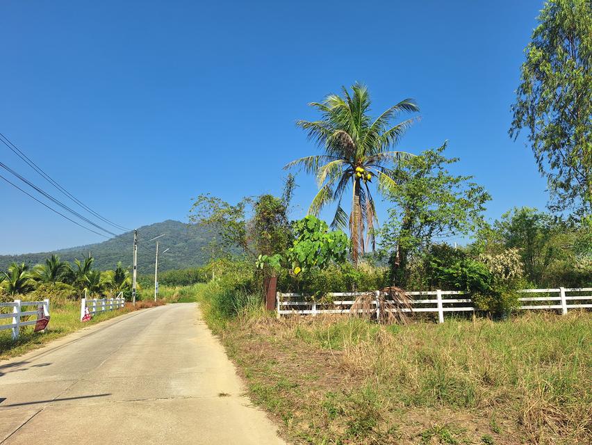 ที่ดินวิวเขายายดา ระยอง 9