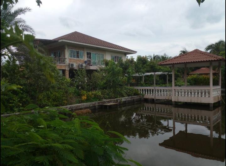 บ้านสวนสวยพร้อมอยู่บนเนื้อที่ 3 ไร่เศษบรรยากาศดีการเดินทางสะดวกใกล้จุดขึ้น-ลงทางด่วน M82 บ้านแพ้ว สมุทรสาคร ปลูกผลไม้เ็มพื้นที่เก็บกินได้ตลอดปี 10 ล. รูปย่อยที่ 5