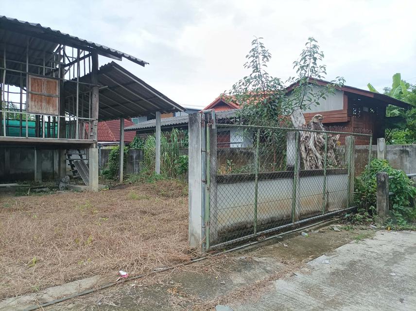 ขายที่ดิน 95ตร.ว. ต.เชิงดอย อ.ดอยสะเก็ด จ.เชียงใหม่ รูปที่ 9