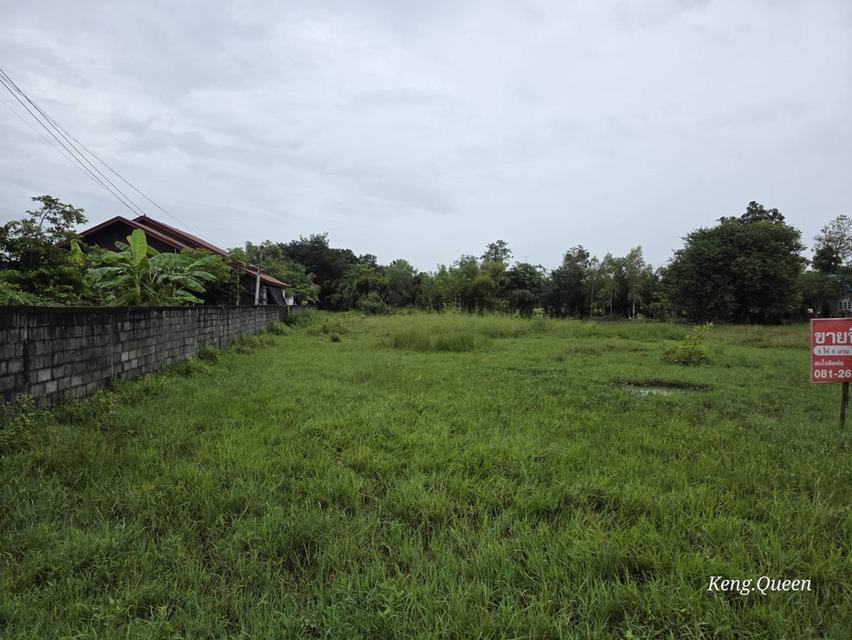 ที่ดินเปล่า บ้านพัก ตึกอาคาร 6
