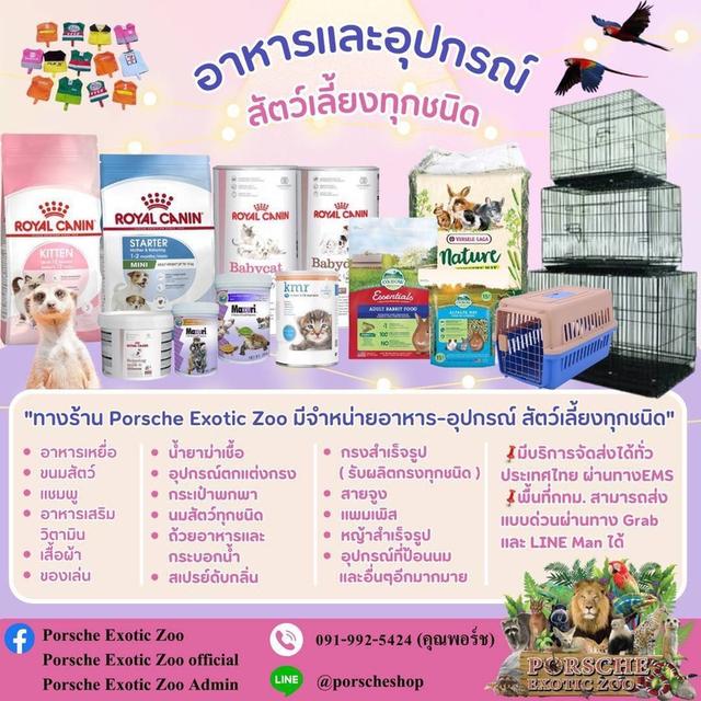 อาหารและอุปกรณ์สัตว์เลี้ยง