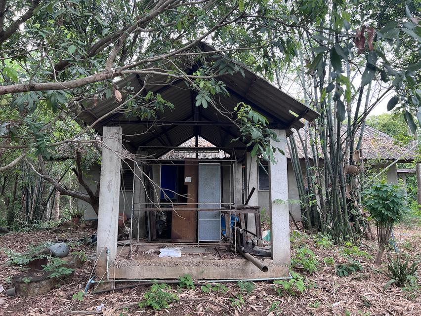 ที่ดิน 23 ไร่ อำเภอ แม่ทะ จังหวัด ลำปาง 20