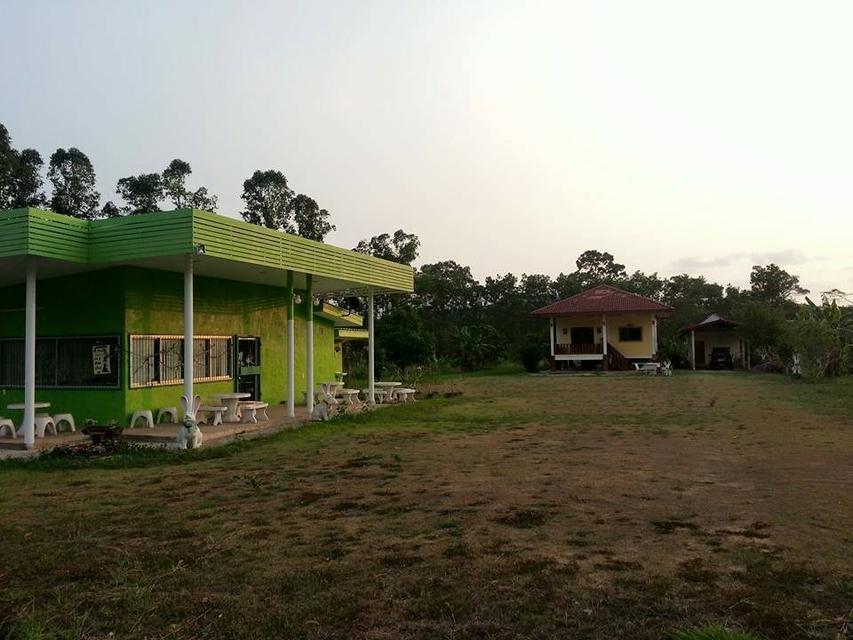 ขายที่ดินถมแล้วพร้อมบ้านและร้านอาหาร ริมถนนใหญ่ 4 เลน ใกล้ทะเลและสนามบิน