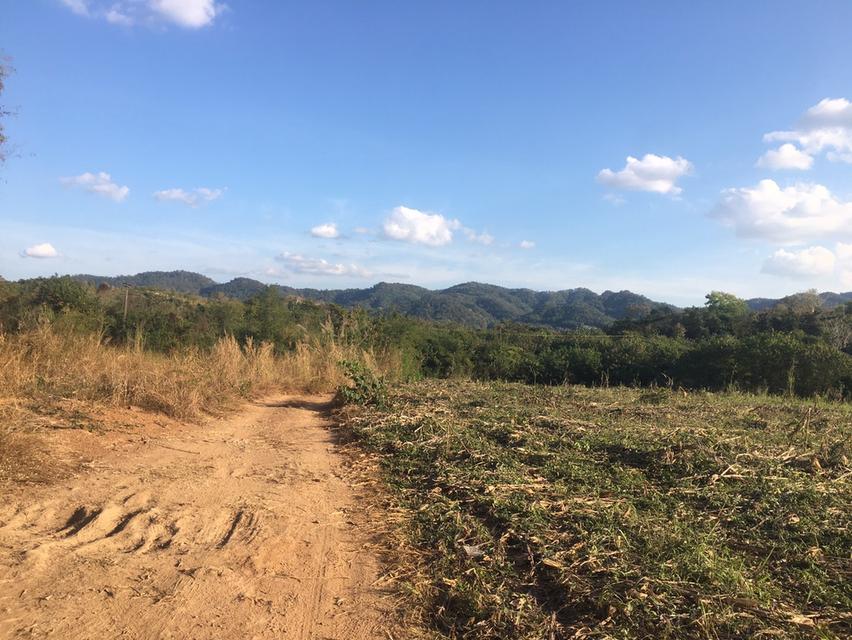 ขายที่ดินแปลงเดียว สูงกว่าถนน 42 ไร่ วิวภูเขา 360 องศา ที่ดินเป็นเนินหลังเต่า มองวิวทิวทัศน์รอบด้านเหมือนพญาอินทรีย์ครับ 3