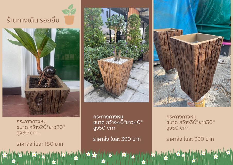 กระถางปูน แผ่นทางเดิน ลายไม้เก่า 🌳