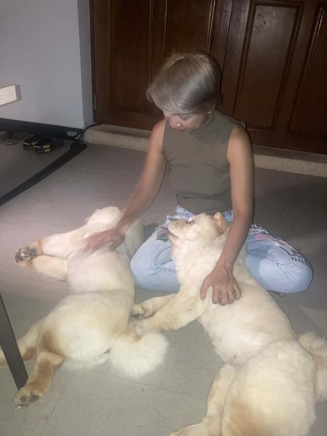 mini product image 3