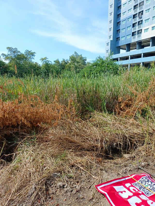ที่ดิน ชะอำ 404 ตร.วา ใกล้หาด 300ม. 11