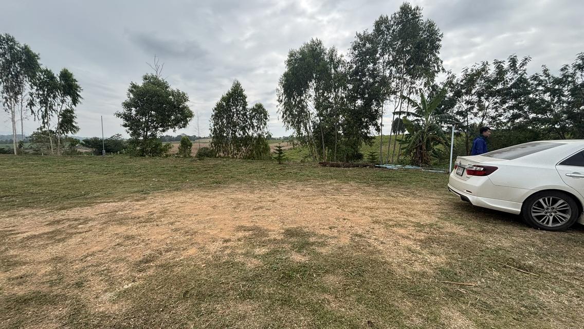 ที่ดินเปล่า 7 ไร่ 2 งาน ไร่ละ 9แสน แบ่งได้ อ.วังน้ำเขียว 6