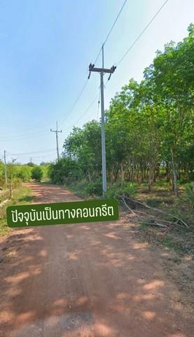 ขายที่ดินเกาะจันทร์ชลบุรี สวนยาง ต.เกาะจันทร์ จ.ชลบุรี บนเนื้อที่ 13-1-8 ไร่ 2 โฉนด -โฉนดครุฑแดง